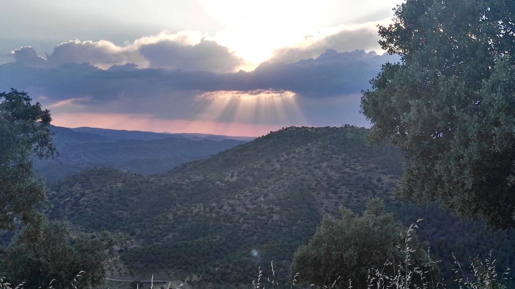 Гостьовий будинок Casa Rural El Trillo El Alcornocal Екстер'єр фото